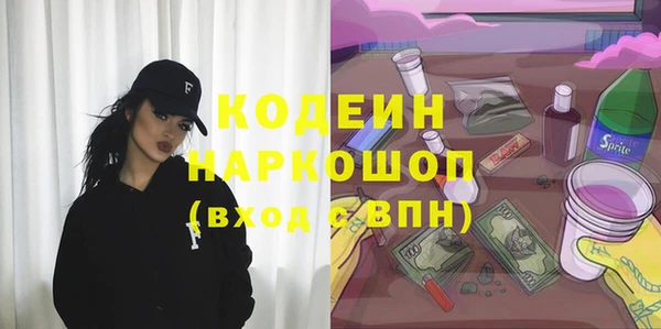 гашик Козловка