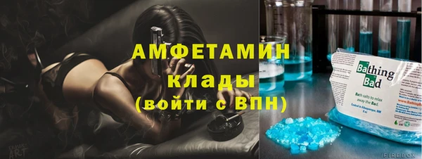 гашик Козловка