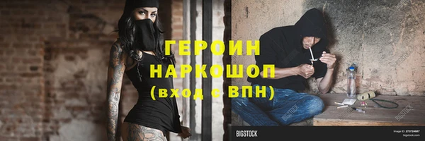 гашик Козловка
