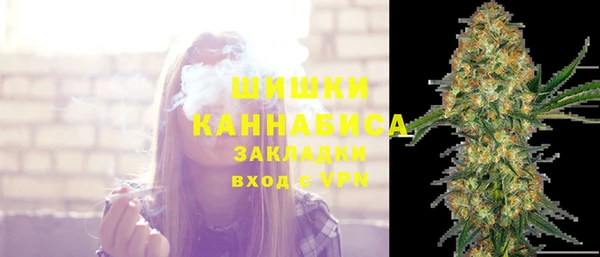 ALPHA PVP Козельск