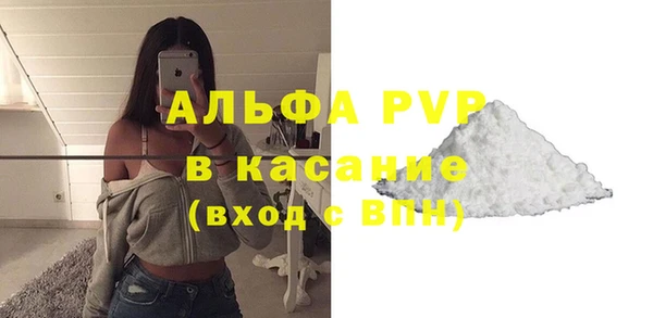 гашик Козловка