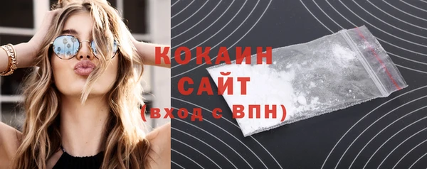 гашик Козловка