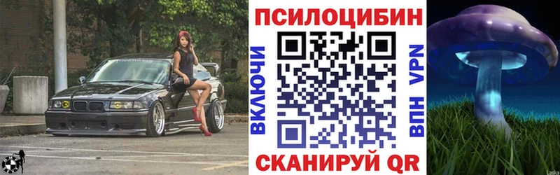 Купить закладки  Соль-Илецк  Псилоцибиновые грибы Psilocybe 